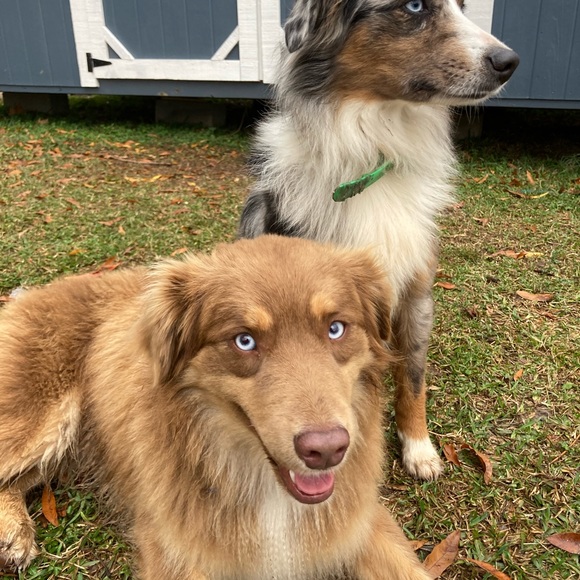 Meet your Posher, Lyndee - Picture 5 of 11